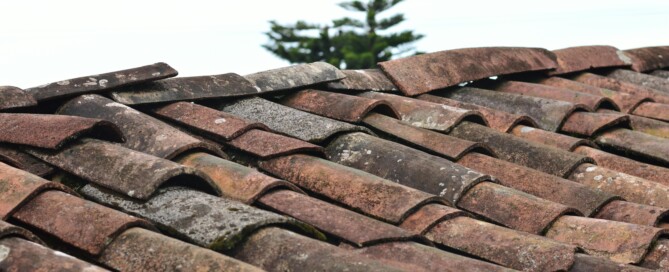 What to Do If Insurance Denied Roof Claim